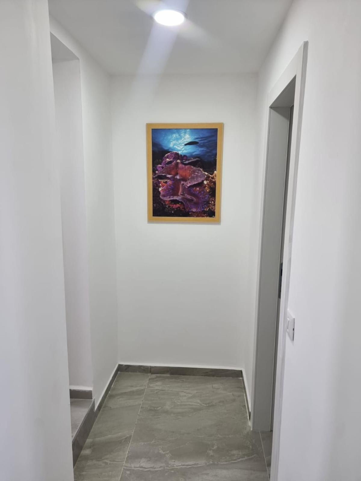 דירת גג נוף המפרץ 1105-6 Apartment Eilat Bagian luar foto